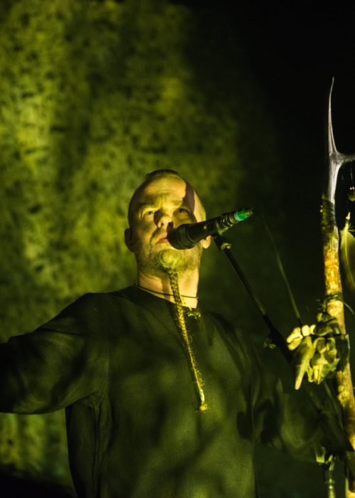 Wardruna